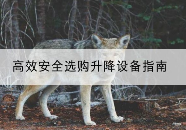 宁武升降货梯厂家推荐-*安全选购升降设备指南
