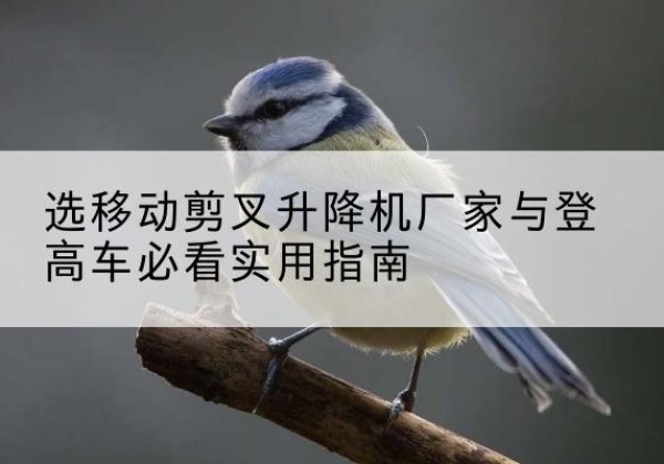宁武电动升降机厂家-选移动剪叉升降机厂家与登高车必看实用指南