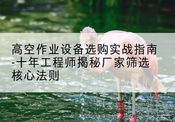 宁武剪叉式升降机厂家-高空作业设备选购实战指南-十年工程师揭秘厂家筛选核心法则